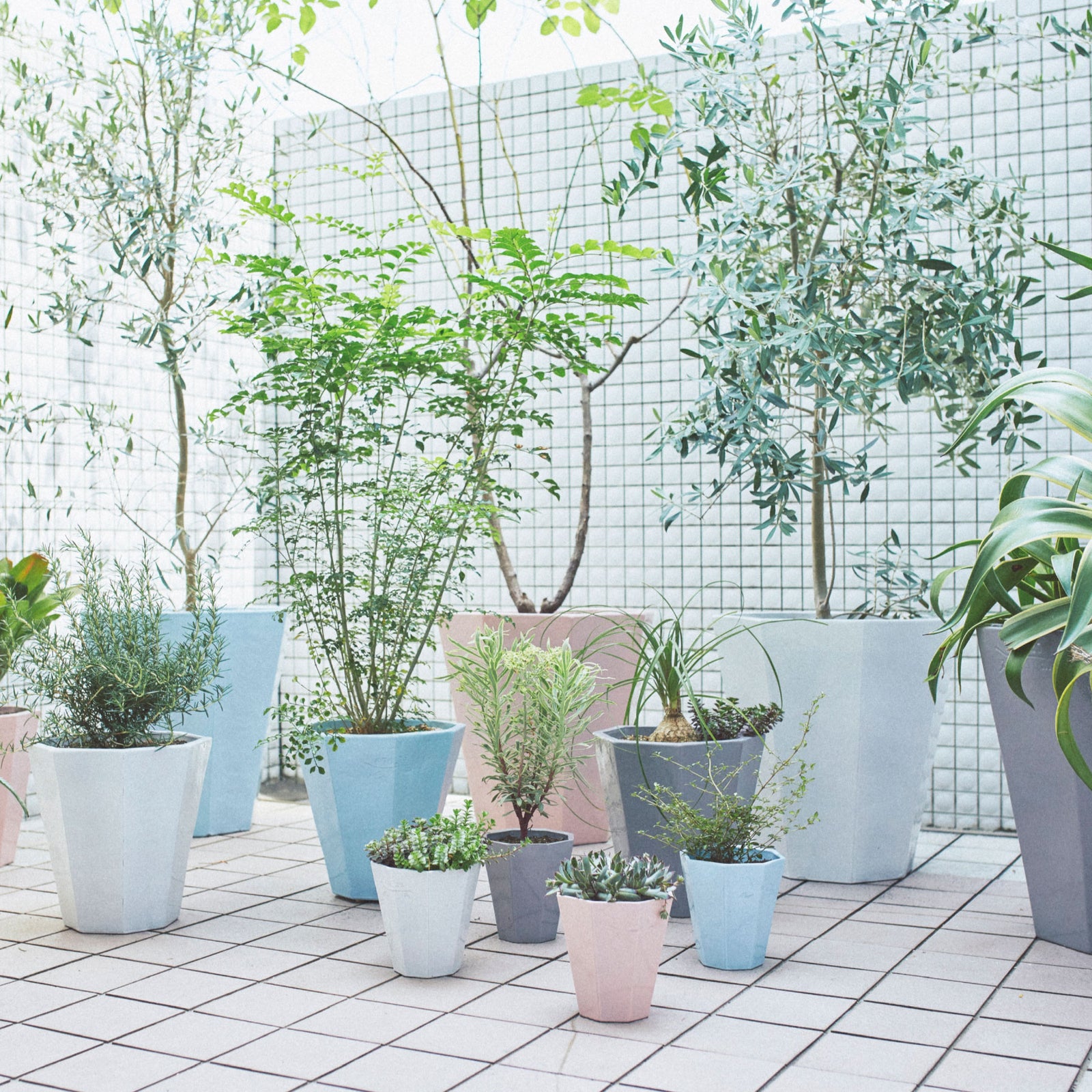 Flowerpot 03 フラワーポット 鉢 | KIKOF キコフ KIGI キギ 信楽焼