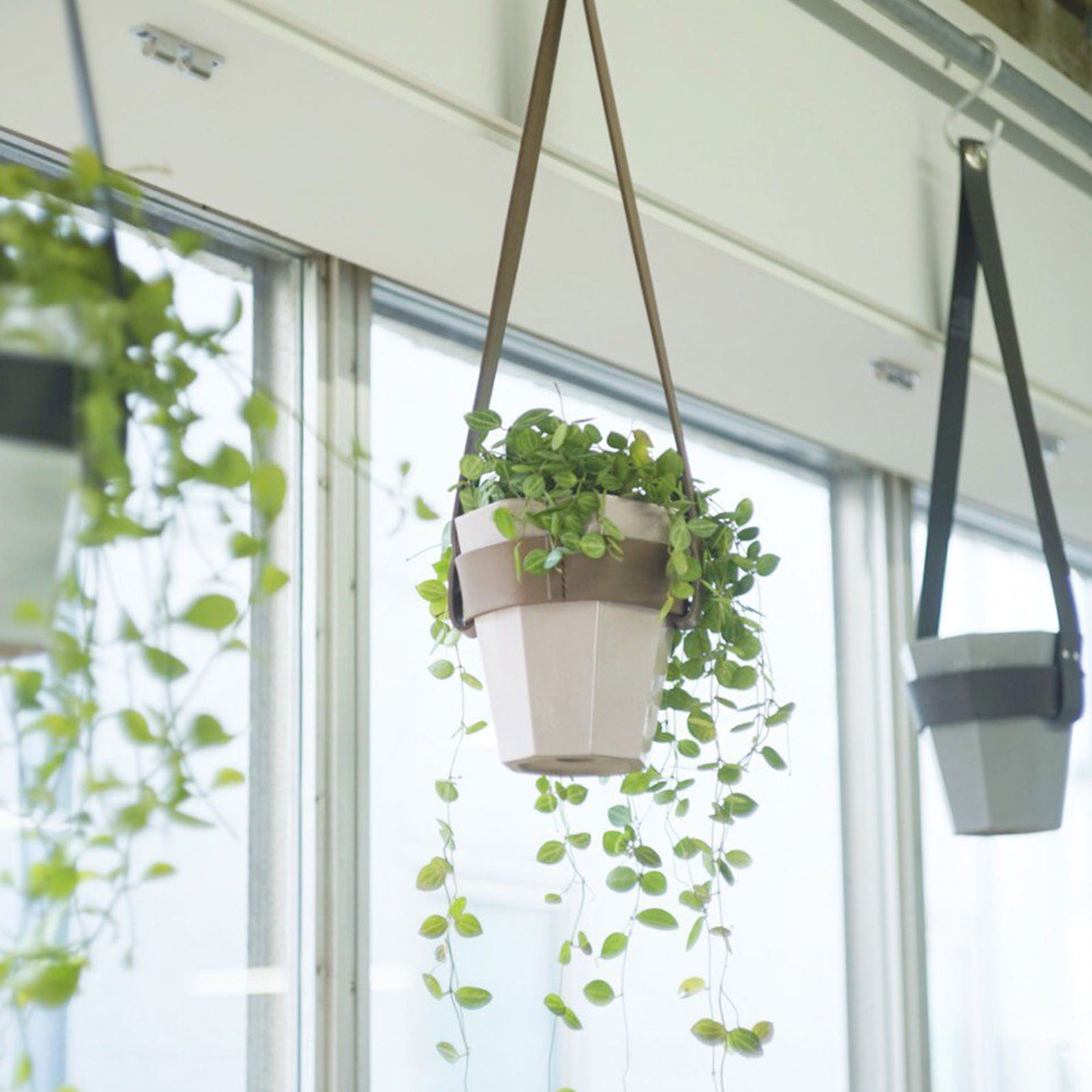 Leather Hanging Flowerpot Set フラワーポット 鉢 | KIKOF キコフ
